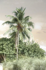 LD1039 - Sanibel Island Palm - 12x18