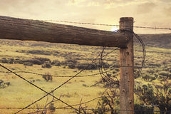 LD1044 - Barbed Wire Fence - 12x18