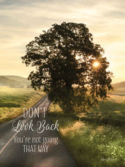 LD1073 - Don't Look Back - 12x16