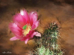 LD1080GP - Vibrant Cactus Flower