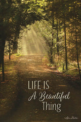 LD1096 - Life is a Beautiful Thing - 12x18