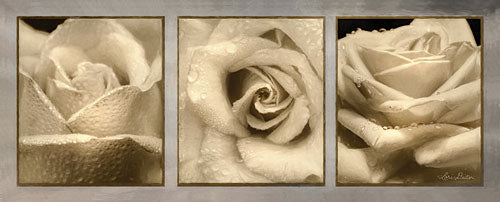 Lori Deiter LD1103 - Rose Trio - Roses, Collage, Flowers from Penny Lane Publishing