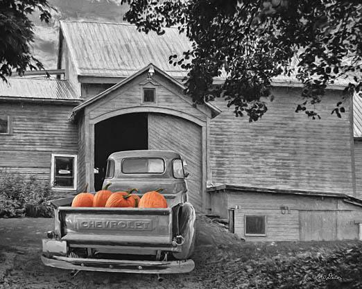 Lori Deiter LD1119 - Pumpkin Truck - Pumpkins, Truck, Black & White, Barn, Farm, Autumn, Harvest from Penny Lane Publishing
