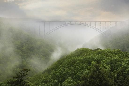 Lori Deiter LD1125 - New River Gorge Bridge - Fog, Bridge, Trees, Landscape from Penny Lane Publishing