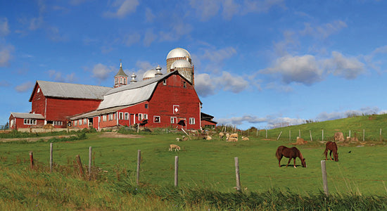 Lori Deiter LD1131 - A Perfect Day - Farm, Barn, Horses, Landscape from Penny Lane Publishing