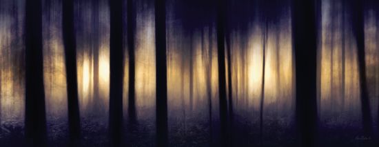 Lori Deiter LD1163 - Edge of the Forest - 18x6 Trees, Forest, Foggy, Photography from Penny Lane