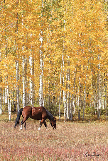 Lori Deiter LD1563 - Among the Aspens - 12x18 Horse, Meadow, Aspen Trees, Trees, Photography from Penny Lane