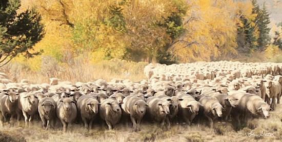 Lori Deiter LD1564 - Sheep Ranch - 18x9 Sheep, Ranch, Farm, Photography, Herding from Penny Lane