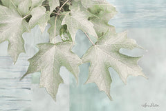 LD1568 - The Maple Leaves - 18x12
