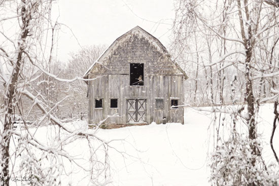 Lori Deiter LD1660 - LD1660 - The New Tenant   - 18x12 Photography, Barn, Winter, Primitive from Penny Lane