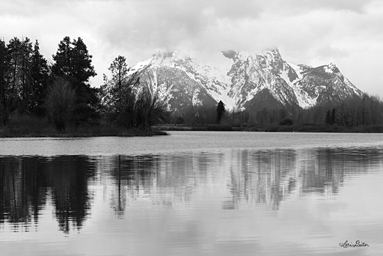 Lori Deiter LD1796 - LD1796 - Oxbow Bend - 18x12 Photography, Black & White, Oxbow Bend, Lake, Trees, Mountain from Penny Lane