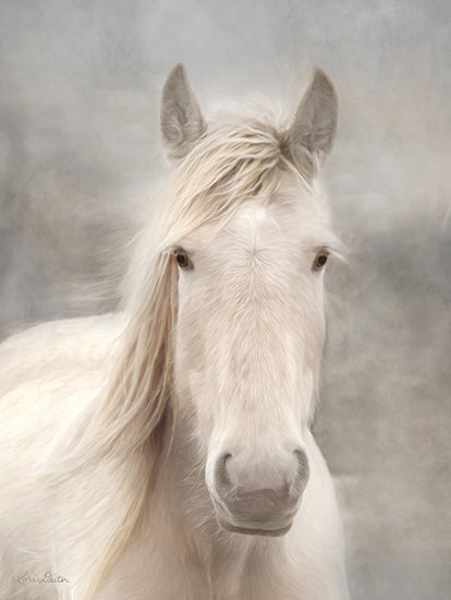 Lori Deiter LD1797 - LD1797 - White Beauty I - 12x16 Portrait, Photography, Horse from Penny Lane