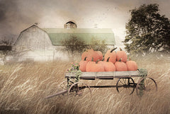 LD1813 - Pumpkin Harvest     - 18x12