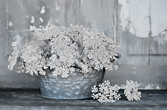 Lori Deiter LD1997 - LD1997 - Queen Anne's Lace I    - 18x12 Flowers, Queen Anne's Lace, Galvanized Pail, Still Life from Penny Lane