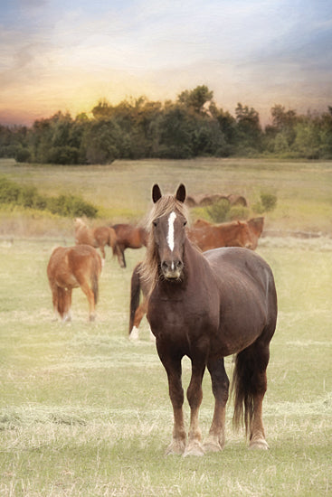 Lori Deiter LD2007 - LD2007 - Jackson Horse Farm - 12x18 Horses, Horse Farm, Grazing, Field, Photography, Trees from Penny Lane