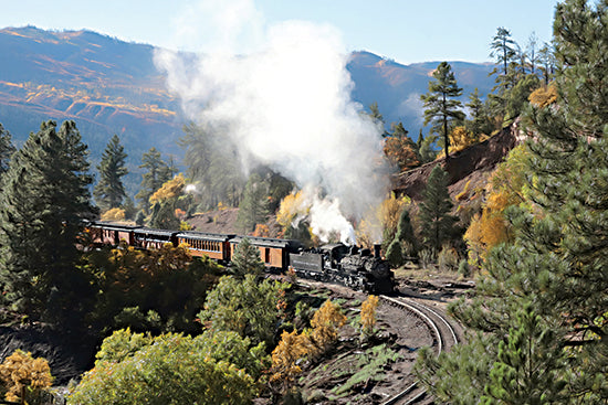 Lori Deiter LD2015 - LD2015 - Durango Silverton Train IV - 18x12 Photography, Train, Mountains, Trees, Durango, Colorado from Penny Lane