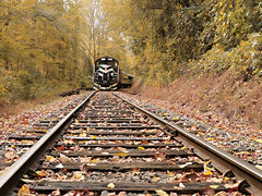 LD2016 - Great Smoky Mountains Railroad - 16x12
