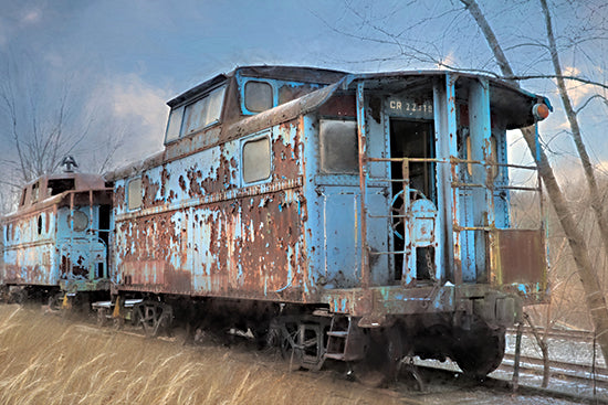 Lori Deiter LD2017 - LD2017 - The Dalmatia Run - 18x12 Photography, Train, Vintage from Penny Lane