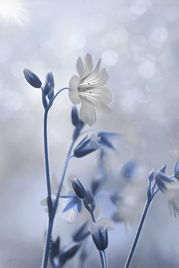 Lori Deiter LD2024 - LD2024 - Blue & White Flowers II - 12x18 Flowers, Blue and White Flowers, Botanical from Penny Lane