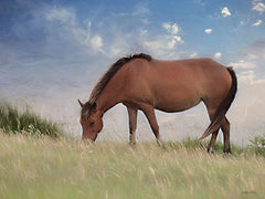LD2039 - Assataegue Horse - 16x12