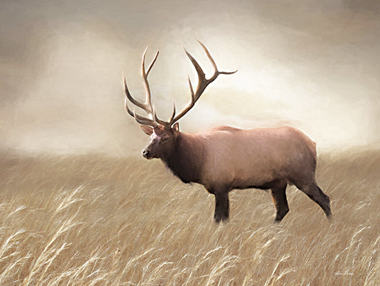 Lori Deiter LD2051 - LD2051 - Elk in the Field - 16x12 Elk, Field, Photography from Penny Lane