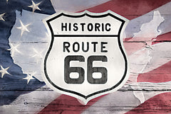 LD2056 - Patriotic Route 66 - 18x12