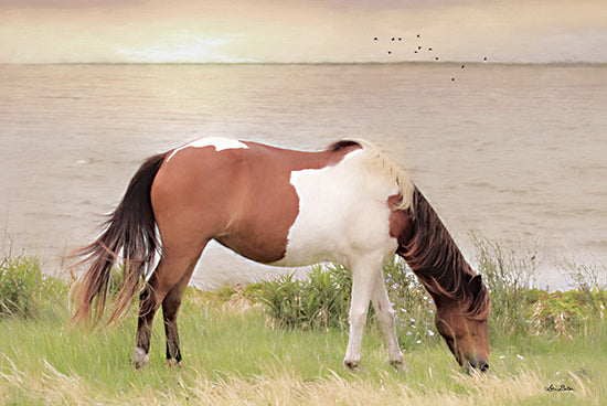 Lori Deiter LD2063 - LD2063 - Grazing on Assateague Island - 18x12 Horse, Assateague Island, River, Photography from Penny Lane