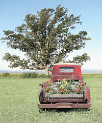 LD2079 - Old Red Flower Truck - 12x16