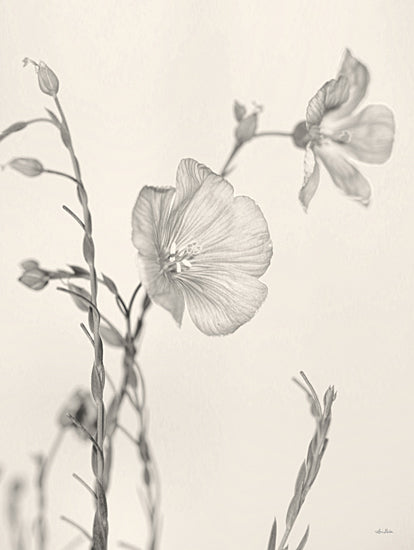 Lori Deiter LD2138 - LD2138 - Faded Flower II - 12x16 Flower, Sketch from Penny Lane