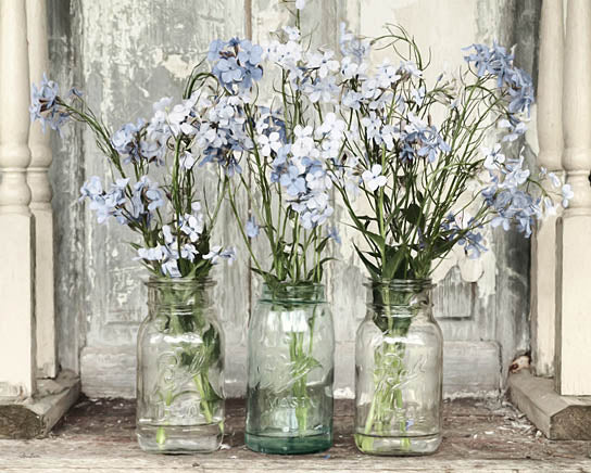 Lori Deiter LD2141 - LD2141 - Blue Roadside Beauties  - 16x12 Flowers, Blue Flowers, Glass Jars, Ball Jars, Still Life, Country, Shabby Chic, Photography from Penny Lane