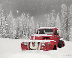 LD2149 - Red Truck Be the Light   - 16x12