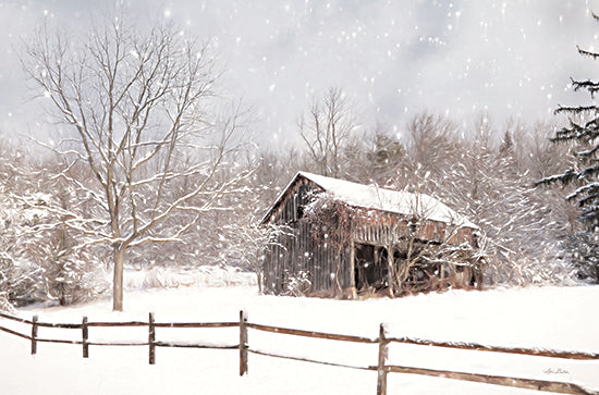 Lori Deiter LD2171 - LD2171 - Beautiful Solitude - 18x12 Barn, Rustic, Winter, Trees, Snow, Fence, Photography from Penny Lane