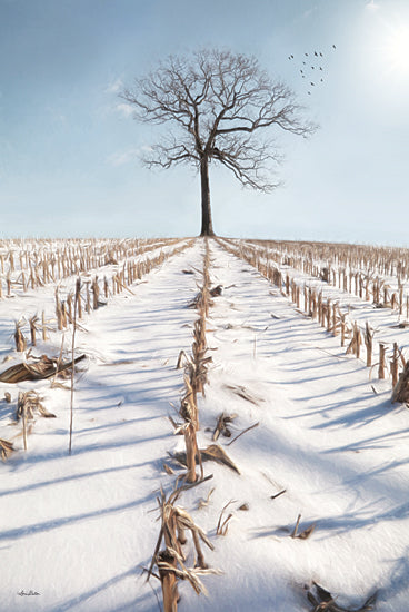 Lori Deiter LD2186 - LD2186 - Winter Boughs - 12x18 Winter, Tres, Field, Photography, Landscape, Corn, Farm, Snow from Penny Lane