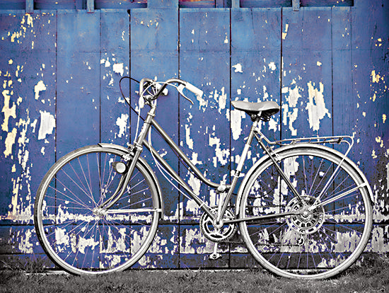 Lori Deiter LD2189 - LD2189 - Grungy Bike - 16x12 Bike, Painted Wall, Photography from Penny Lane