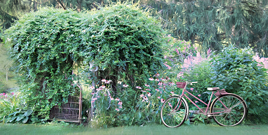Lori Deiter LD2192 - LD2192 - Summer Greens - 18x9 Bike, Bicycle, Trees, Gate, Garden, Summer, Seasons, Photography, Flowers, Pink Flowers from Penny Lane