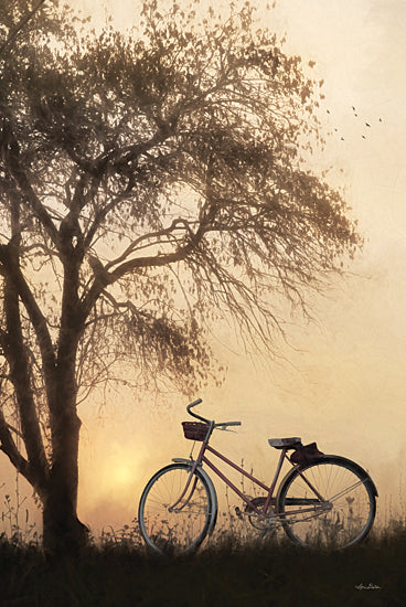 Lori Deiter LD2194 - LD2194 - Foggy Morning Sunrise - 12x18 Bike, Bicycle, Tree, Sunrise, Nature, Photography, Calming from Penny Lane