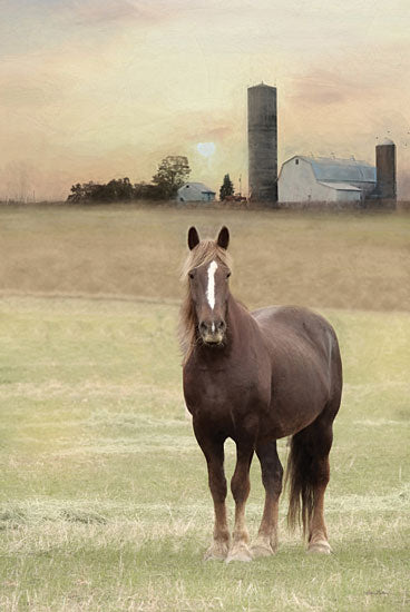 Lori Deiter LD2195 - LD2195 - Jackson Horse - 12x18 Horse, Farm Animals, Farm, Barn, Photography from Penny Lane