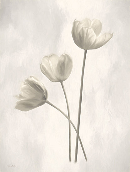 Lori Deiter LD2211 - LD2211 - Bleached Tulips I - 12x16 Tulips, Flowers, Botanical, Photography from Penny Lane