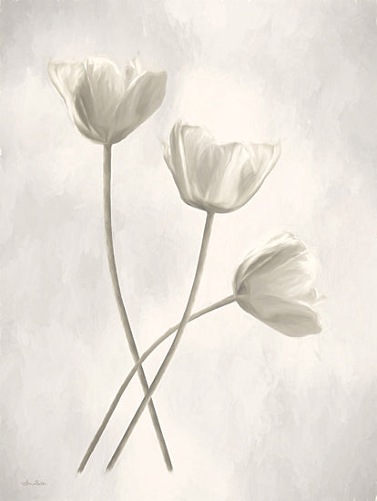 Lori Deiter LD2213 - LD2213 - Bleached Tulips III - 12x16 Tulips, Flowers, Botanical, Photography from Penny Lane