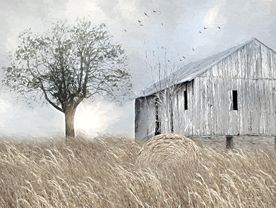 Lori Deiter LD2242 - LD2242 - The Harvest - 16x12 Barn, Farm, Wheat, Fields, Trees, Photography from Penny Lane
