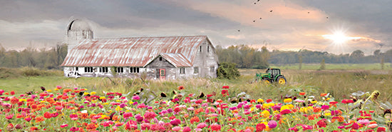 Lori Deiter LD2264A - LD2264A - Vermont Country Morning - 36x12 Farm, Barn, Flowers, Tractor, Field, Morning, Sunlight, Photography from Penny Lane