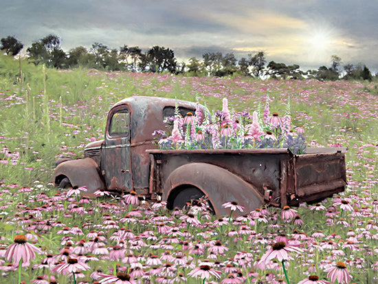Lori Deiter LD2265 - LD2265 - Beauty and the Beast - 16x12 Truck, Rusty Truck, Flowers, Wild Flowers, Field of Flowers, Photography from Penny Lane