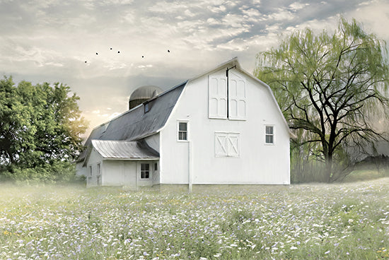 Lori Deiter LD2266 - LD2266 - Brownsville Sunrise - 18x12 Farm, Barn, White Barn, Meadow, Photography, Trees from Penny Lane