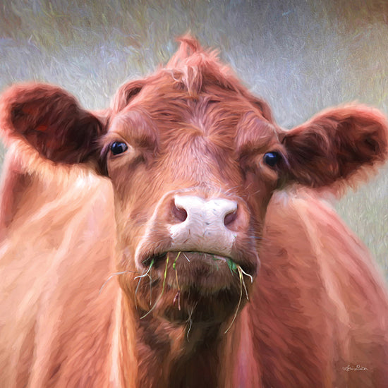 Lori Deiter LD2276 - LD2276 - The Brown Cow - 12x12 Cow, Portrait, Photography  from Penny Lane