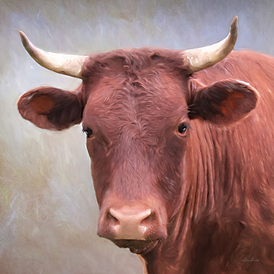 Lori Deiter LD2277 - LD2277 - Bull Face - 12x12 Bull, Cow, Portrait, Photography from Penny Lane