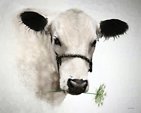 Lori Deiter LD2279 - LD2279 - Flower Girl - 16x12 Cow, Flowers, Queen Ann's Lace, Portrait, Photography from Penny Lane