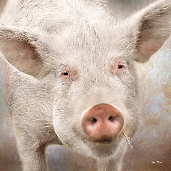 Lori Deiter LD2282 - LD2282 - Pig Face - 12x12 Pig, Farm, Portrait, Photography from Penny Lane