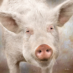 LD2282 - Pig Face - 12x12