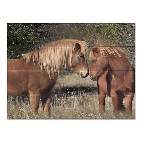 Lori Deiter LD2286PAL - LD2286PAL - Assateague Horses III - 16x12 Horses, Assateague Horses, Fields, Photography from Penny Lane