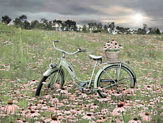Lori Deiter LD2289 - LD2289 - Sagebrush Bicycle - 16x12 Bike, Bicycle, Flowers, Purple Cone Flowers, Landscape, Photography from Penny Lane